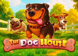 naza99 The Dog House ทดลองเล่นฟรี